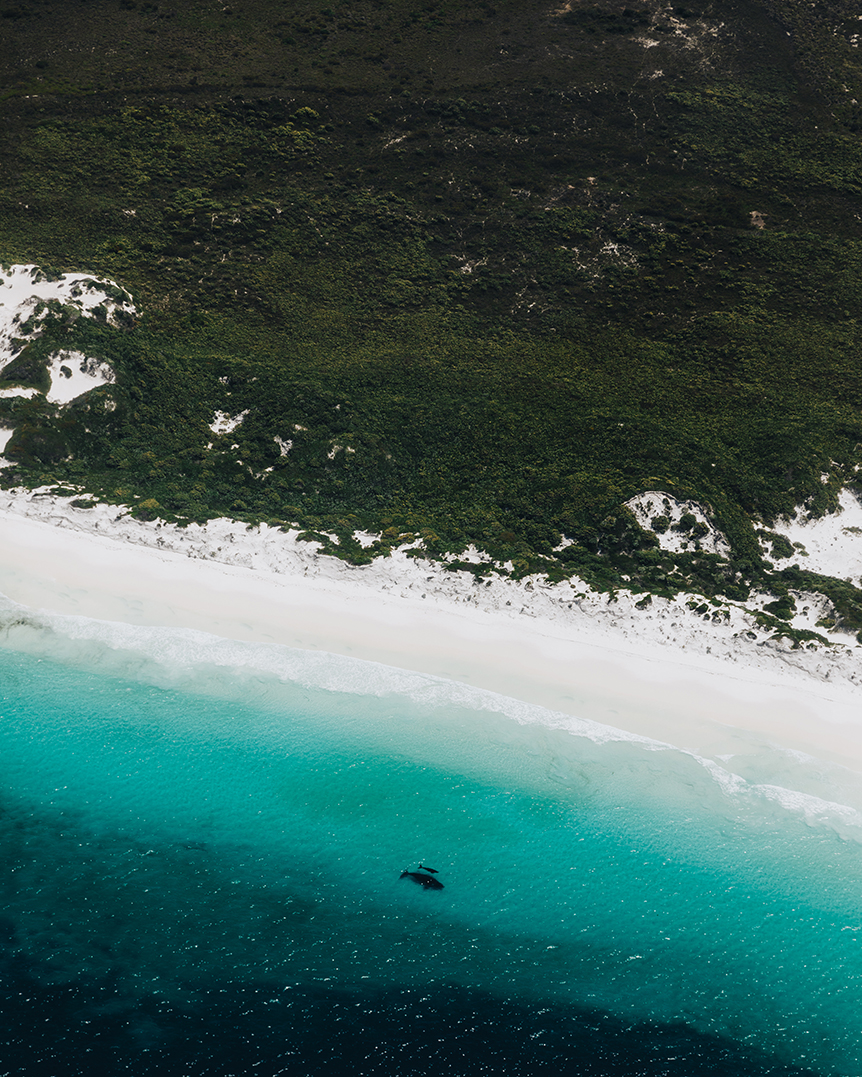 Esperance's best beaches via HeliSpirit's helicopter