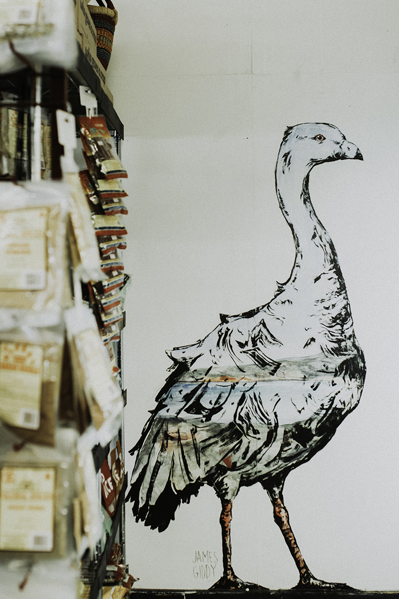 Cape Barren Geese by James Giddy