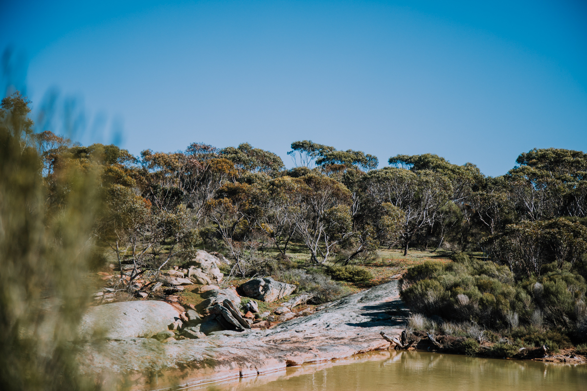 Cascade Falls by Rosie Henderson Cascade Falls by Rosie Henderson