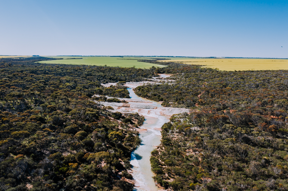 Cascade Falls by Rosie Henderson Cascade Falls by Rosie Henderson