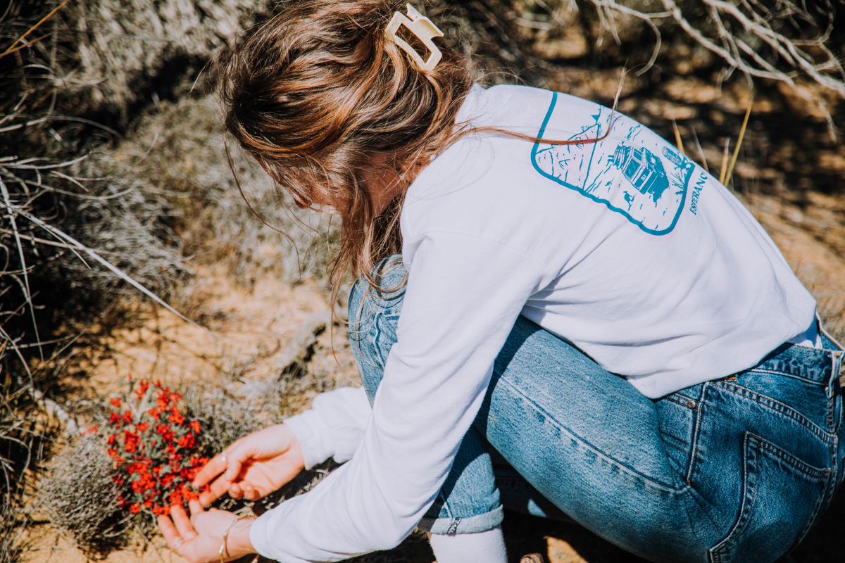 Cascade Falls by Rosie Henderson Cascade Falls by Rosie Henderson
