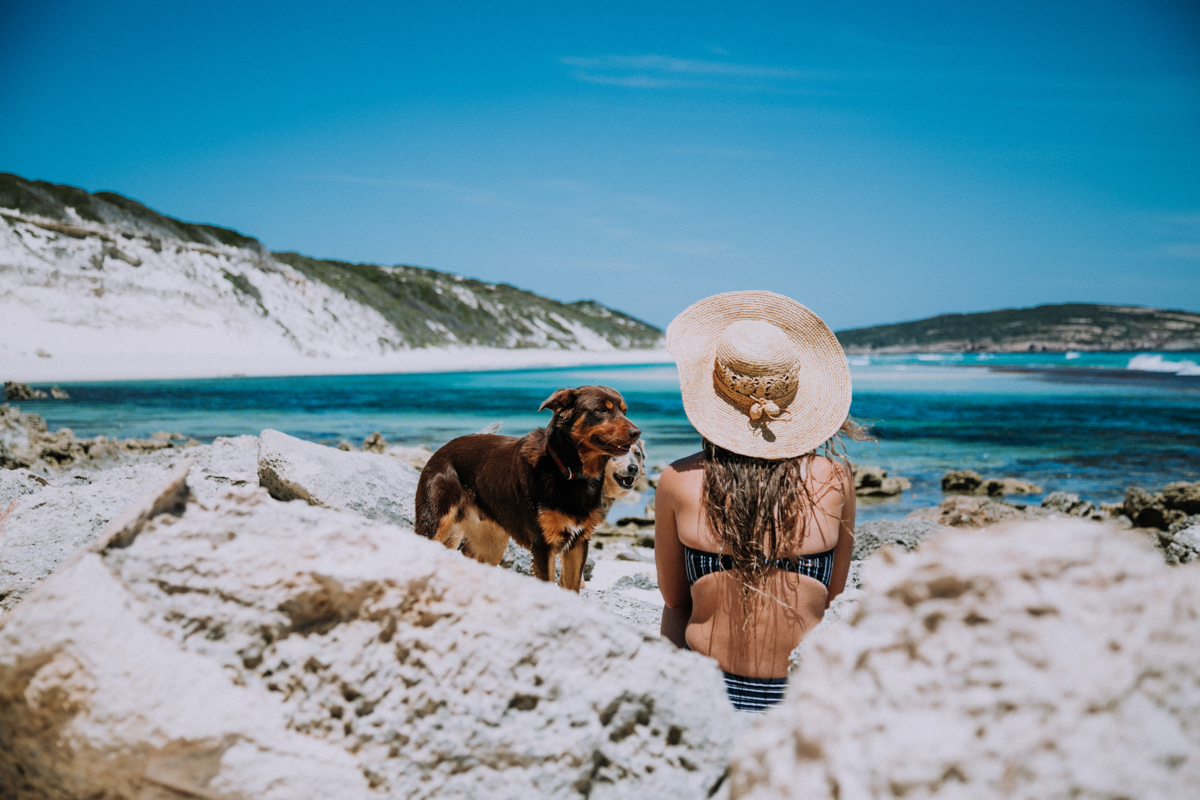 A girl and two dogs sitting at the beach