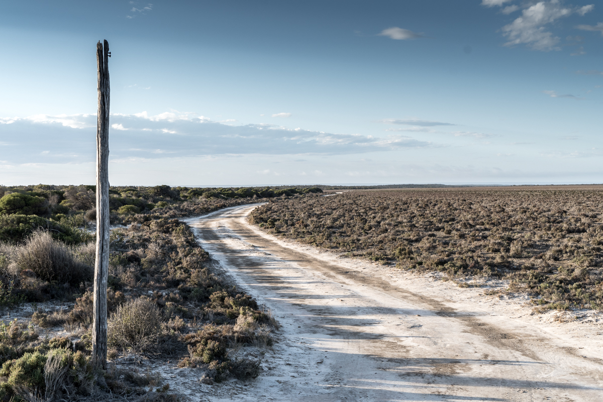 Tracing the Wire: Travelling the Old Telegraph Line