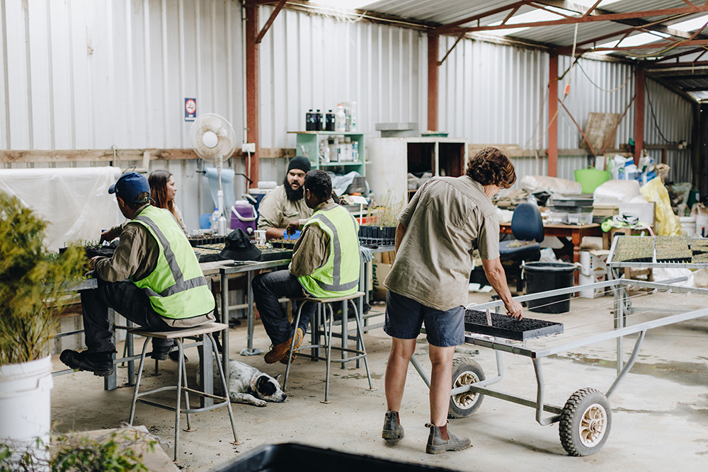 Antoinette and her employees in the shed at Esperance Farm Trees