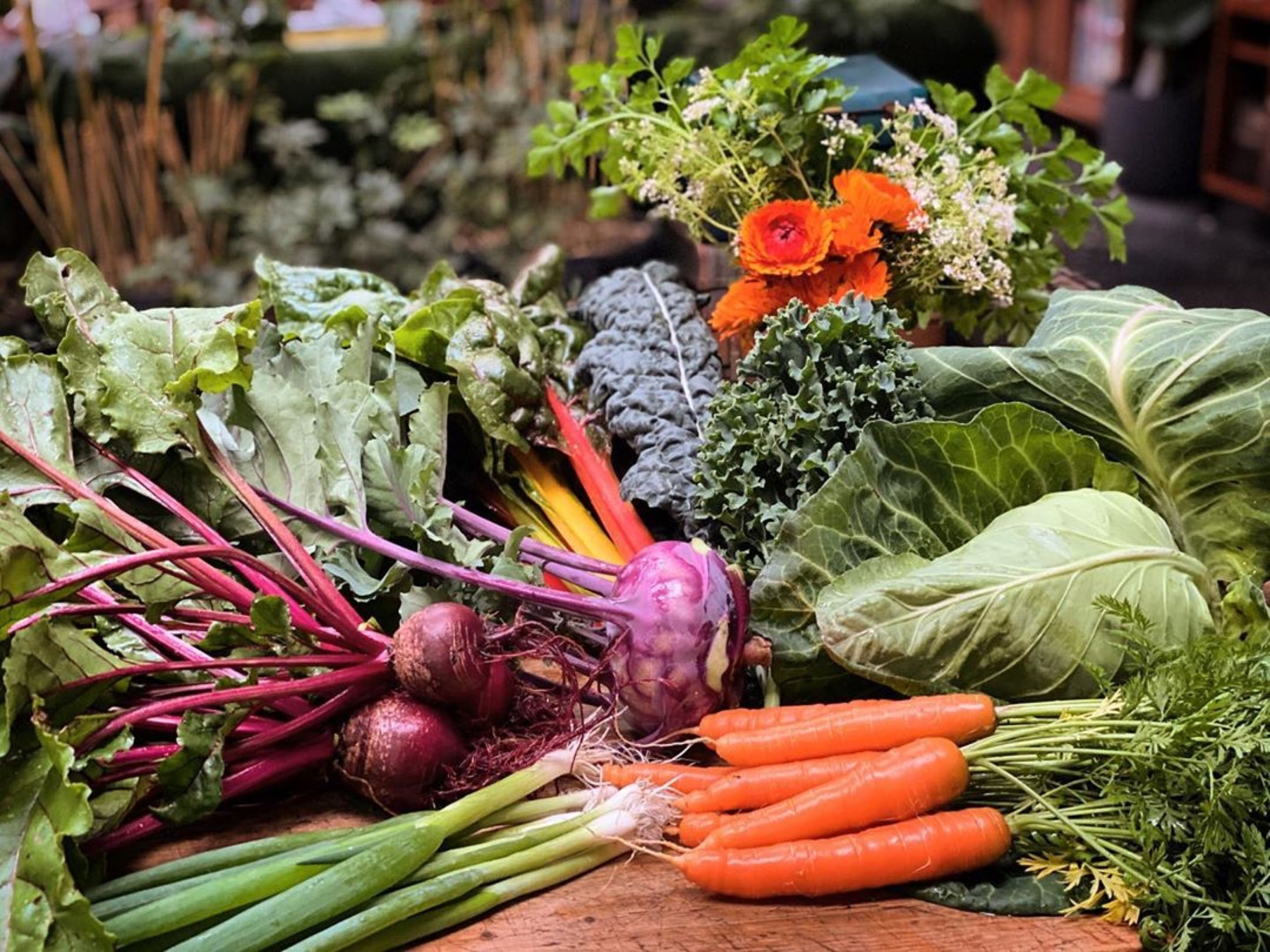 Mystwood Harvest produce Mystwood Harvest produce